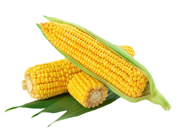 Corn
