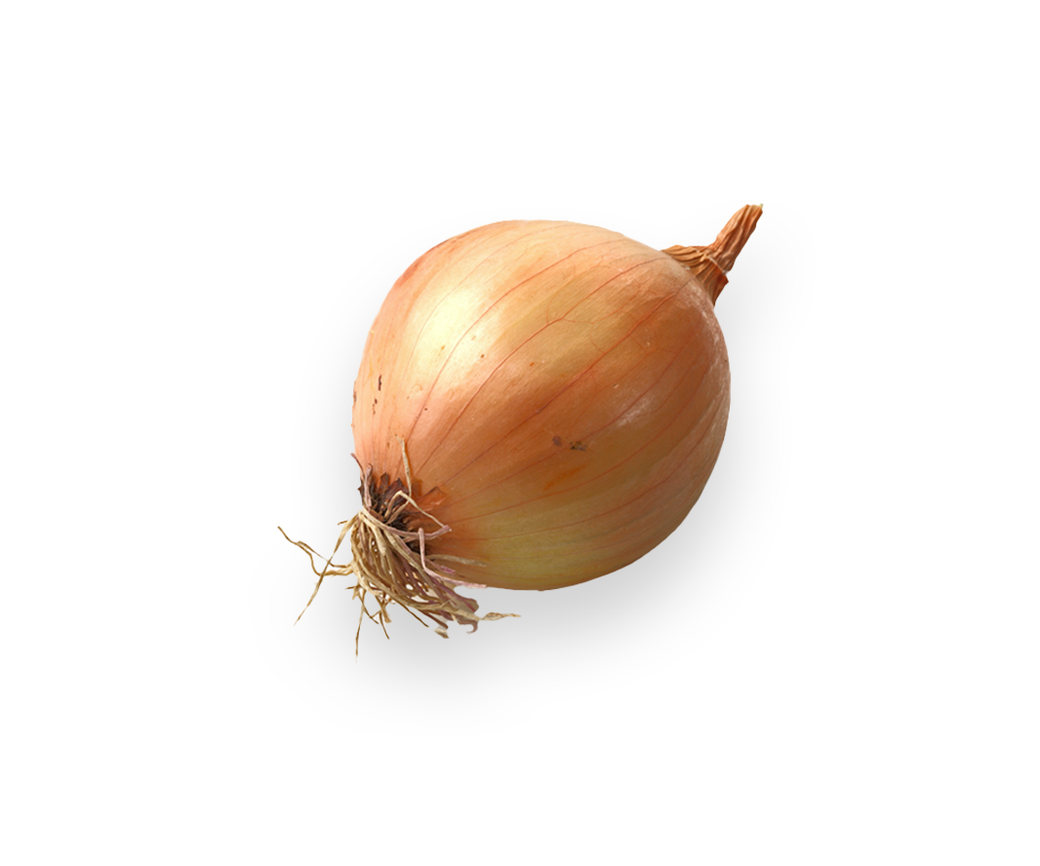 Brown Onion (one off)