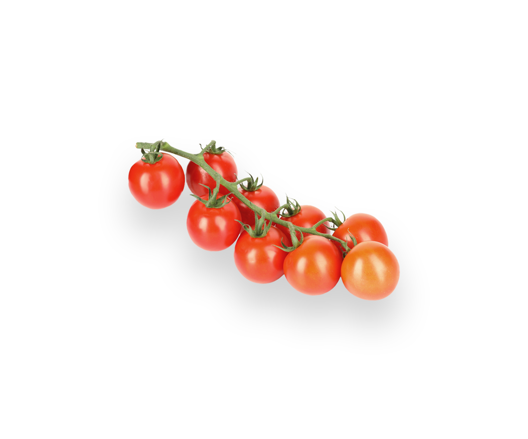 Cherry Tomato (one off)