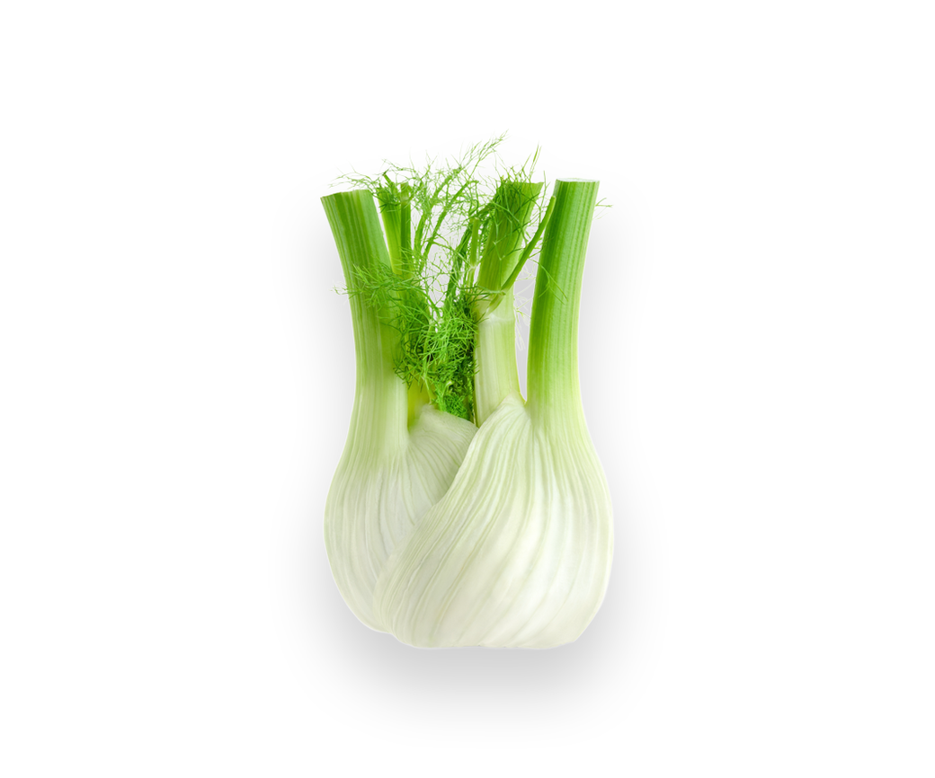 Fennel (one off)