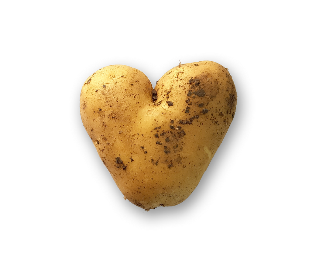 Brushed Potato (one off)