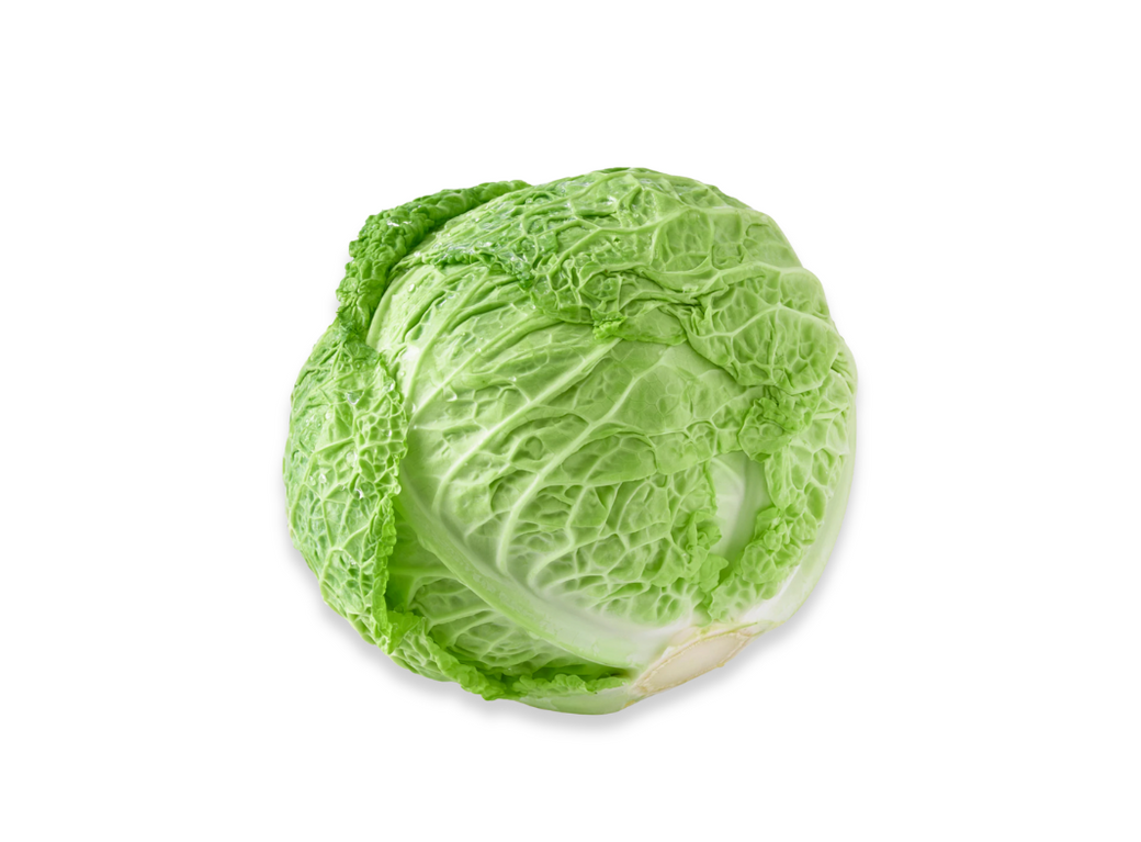 Green Cabbage (one off)