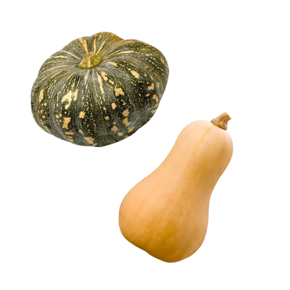 Pumpkin Seasonal (one off)