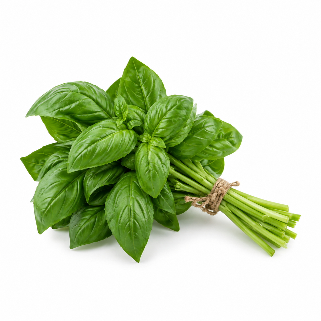 Basil