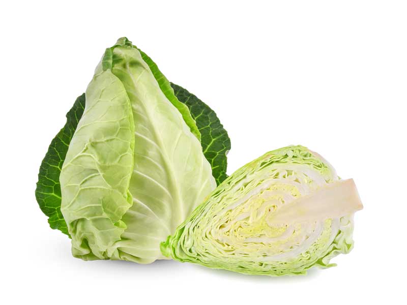 Sugarloaf Cabbage (one off)