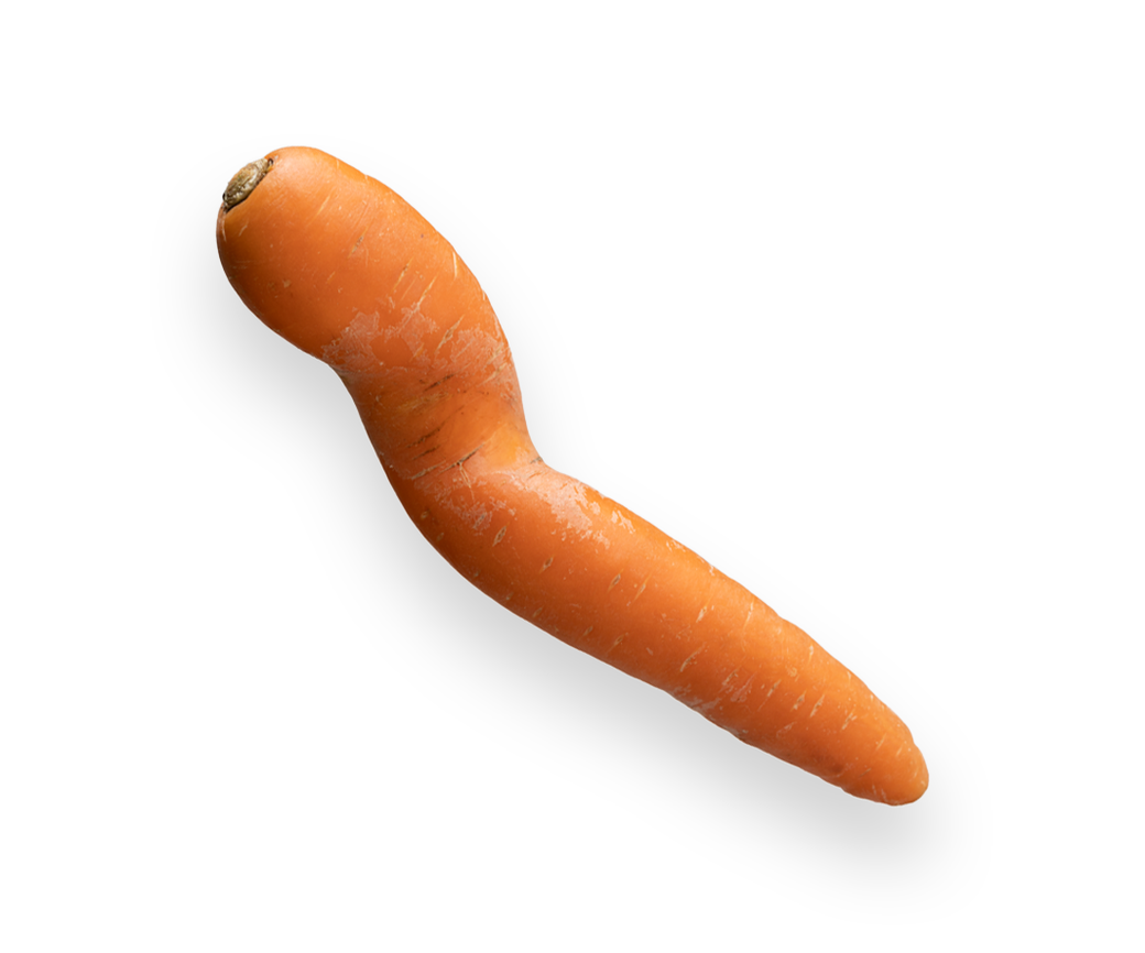 Carrot (one off)