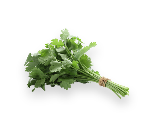 Coriander