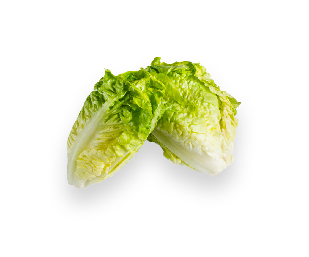 Gem Lettuce (one off)