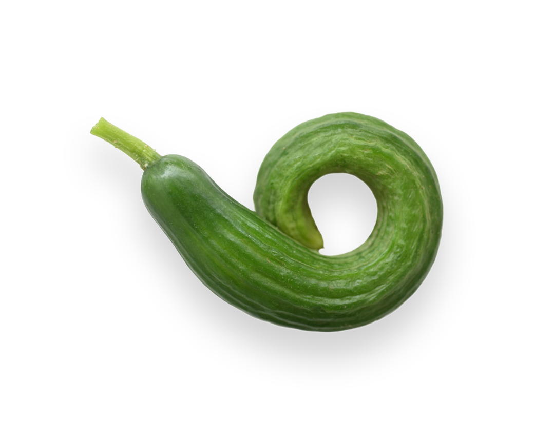 Lebanese Cucumber (one off)