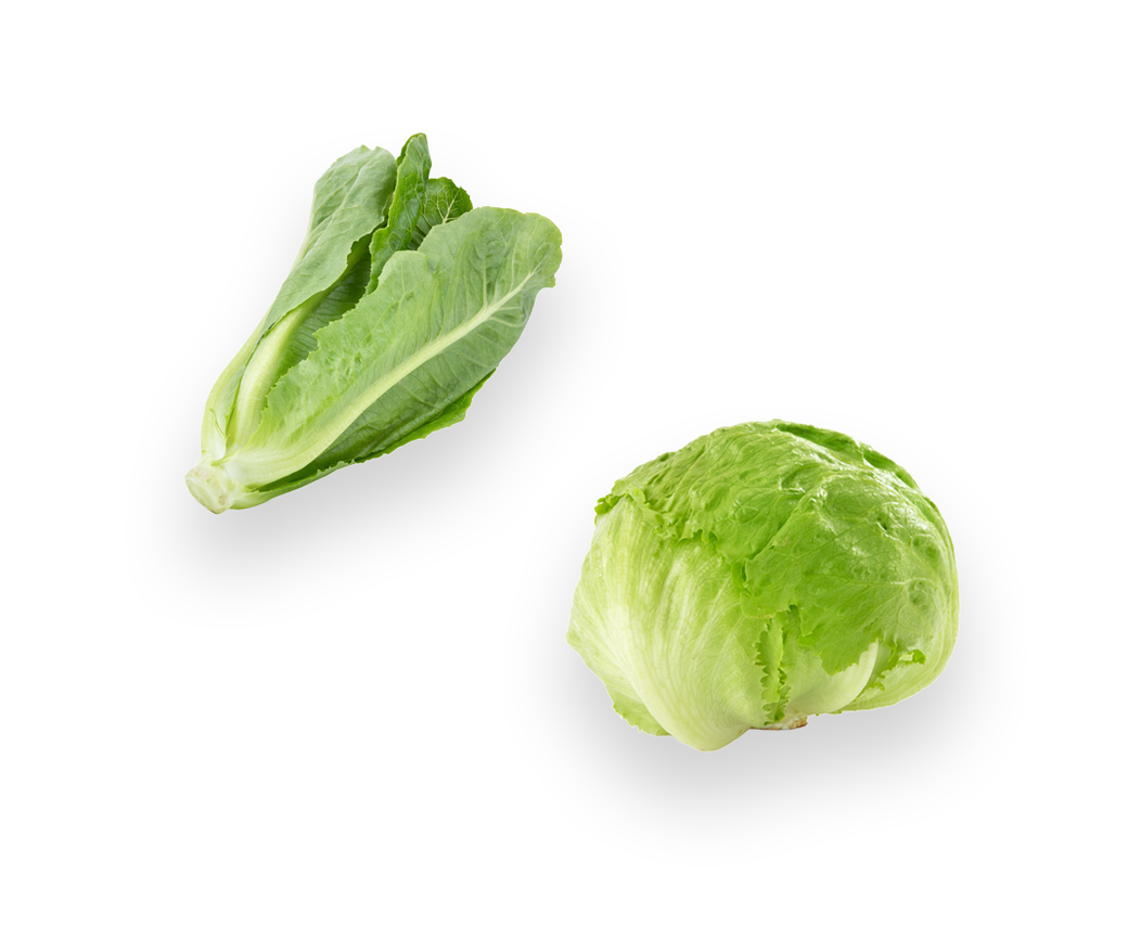 Lettuce Seasonal (one off)