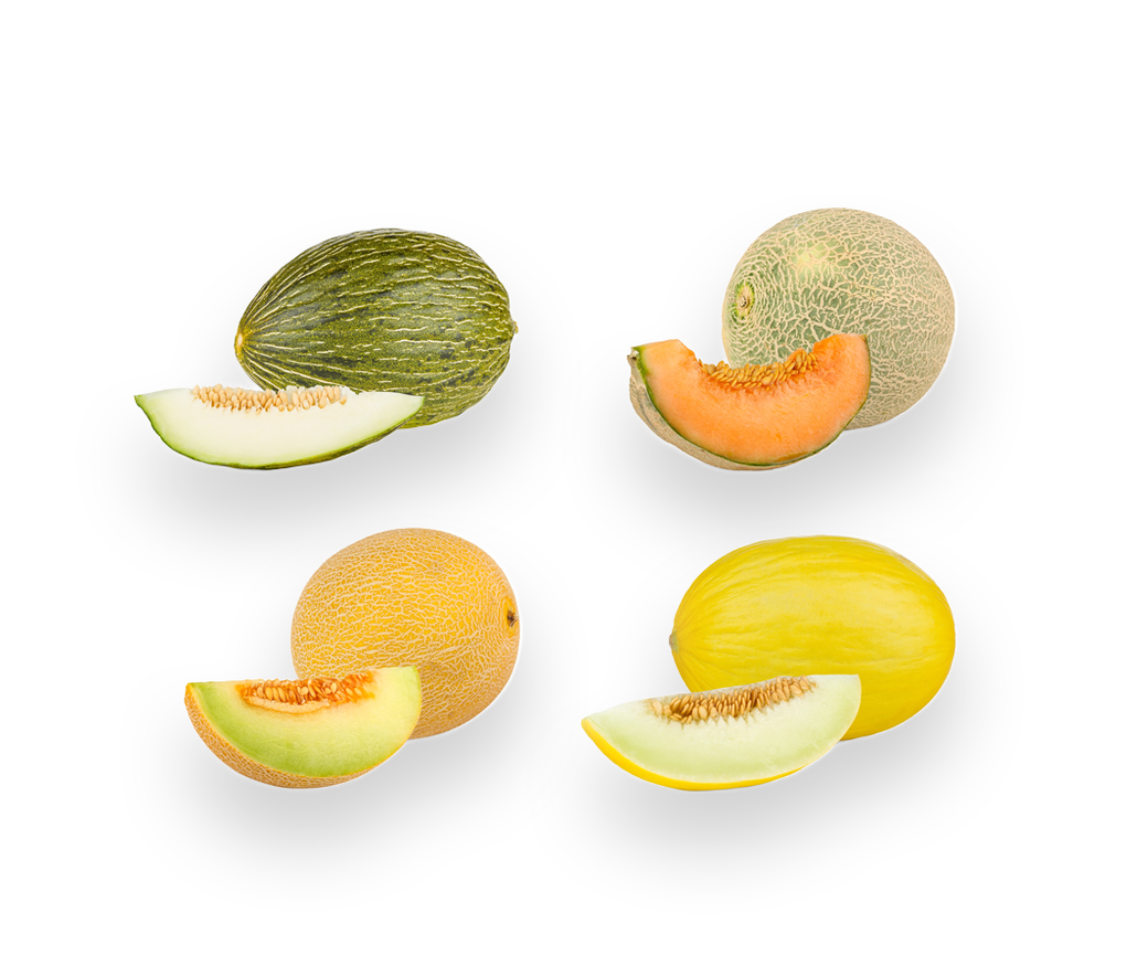 Melon Seasonal (one off)