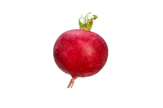 Red Radish