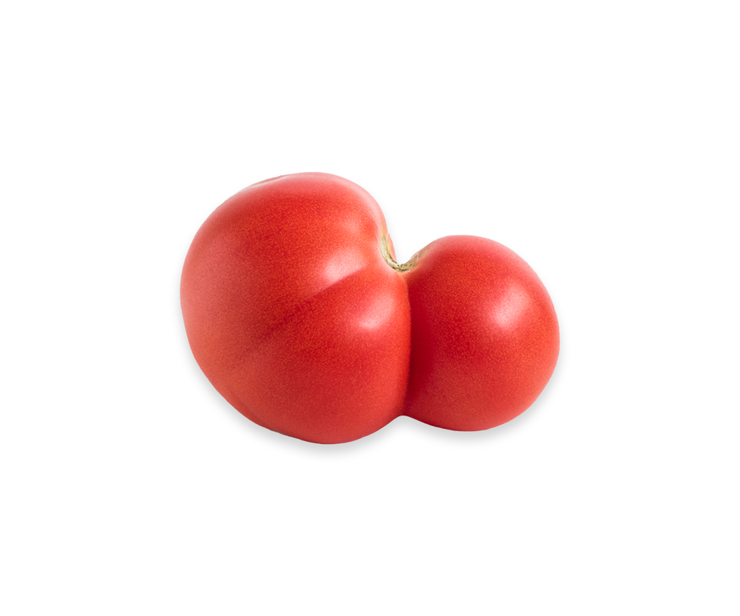 Tomato Seasonal (one off)
