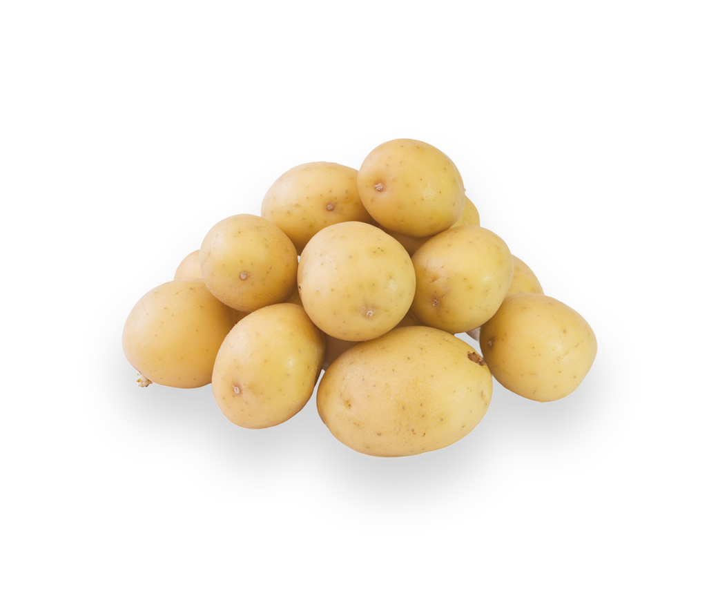 Washed Potato (one off)